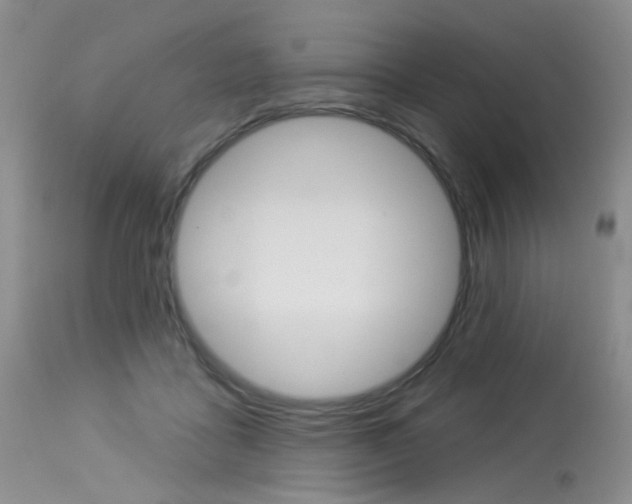 X0000114030411200910021045