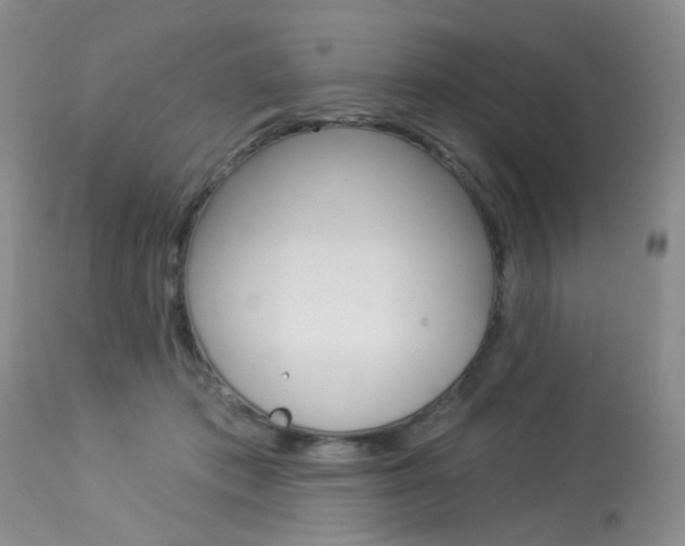 X0000114030413200910021045
