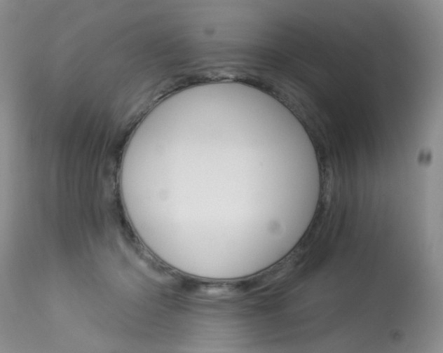 X0000114030414200910021045