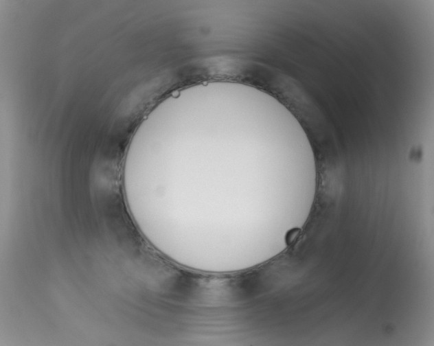X0000114030419200910021045