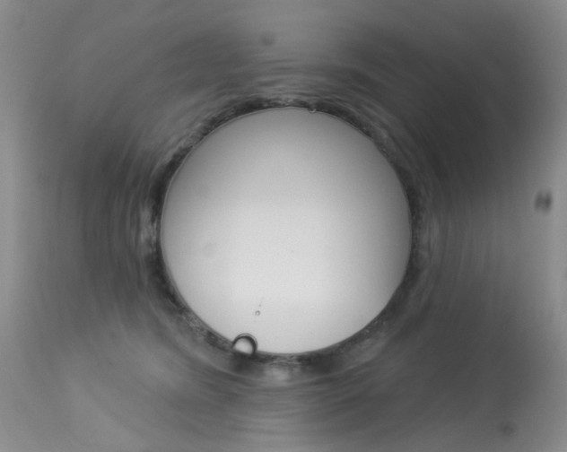 X0000114030420200910021045