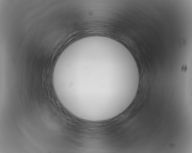 X0000114030421200910021045
