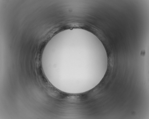 X0000114030422200910021045