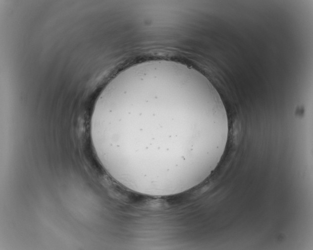 X0000114030424200910021045