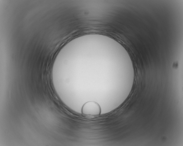 X0000114030425200910021045