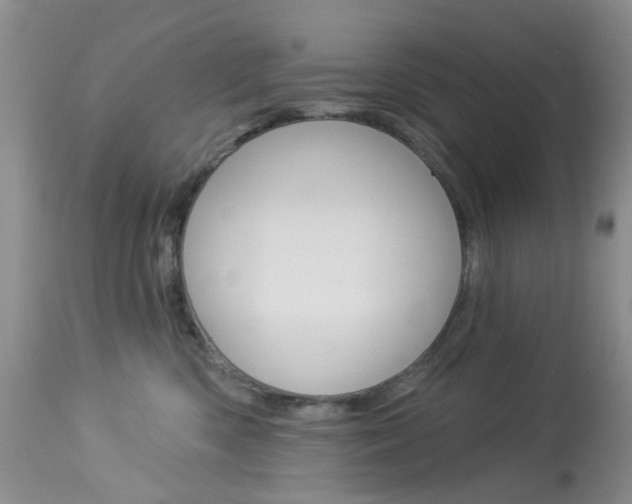 X0000114030426200910021045