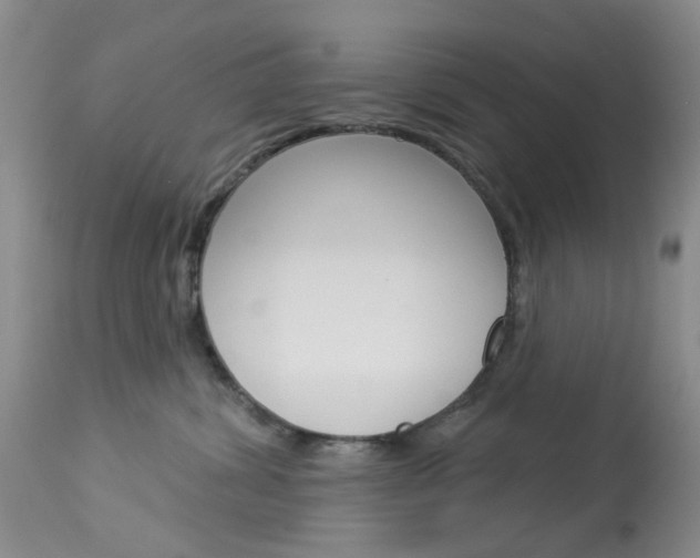 X0000114030428200910021045