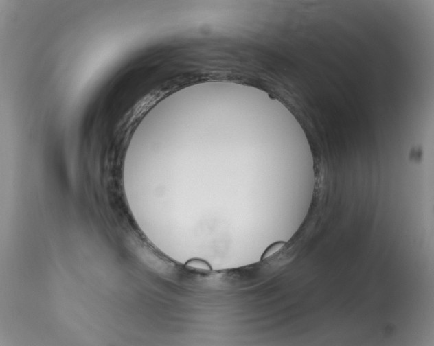 X0000114030430200910021045