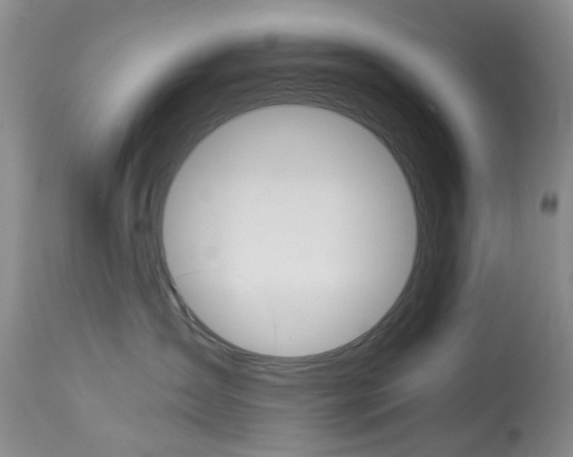 X0000114030431200910021045