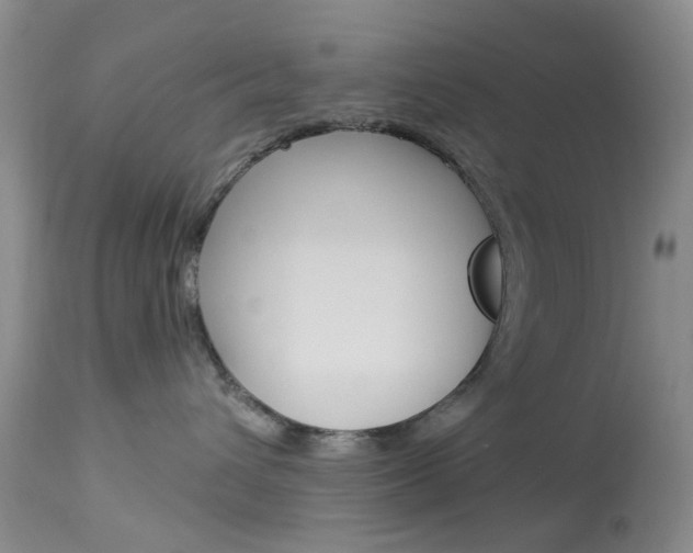 X0000114030432200910021045