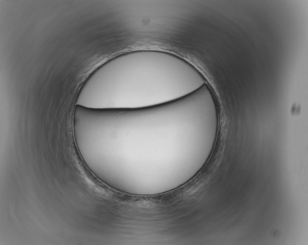 X0000114030433200910021044