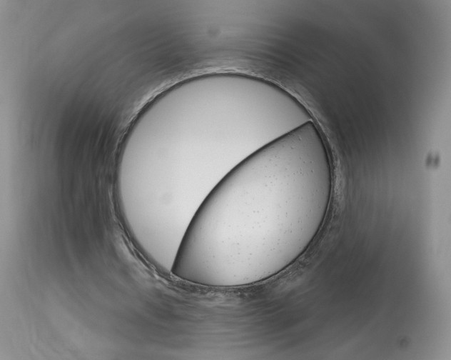 X0000114030434200910021044