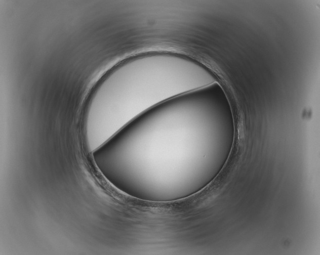 X0000114030436200910021044