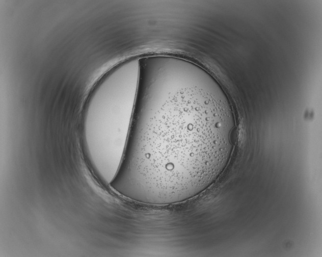 X0000114030438200910021044