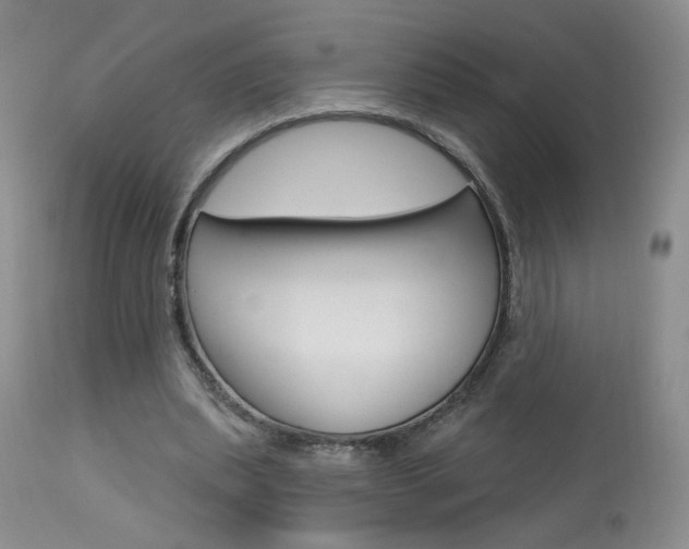 X0000114030439200910021044