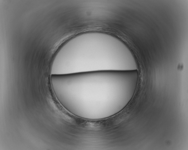 X0000114030442200910021044