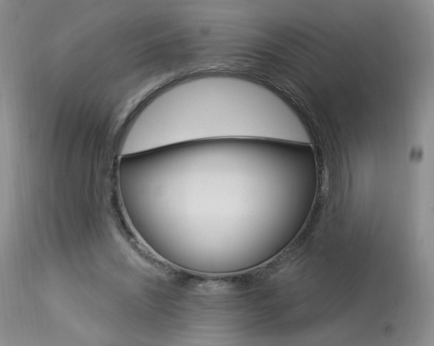 X0000114030444200910021044