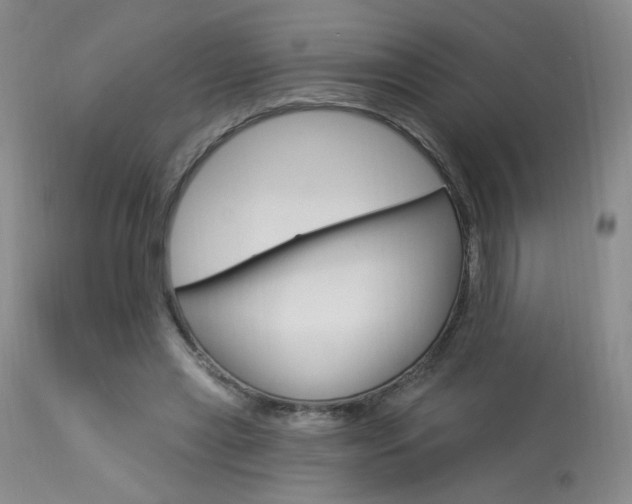 X0000114030445200910021044