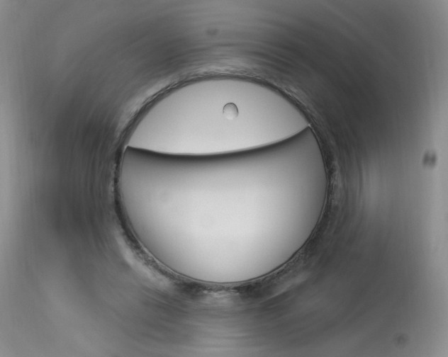 X0000114030446200910021044