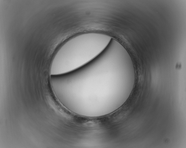 X0000114030447200910021044