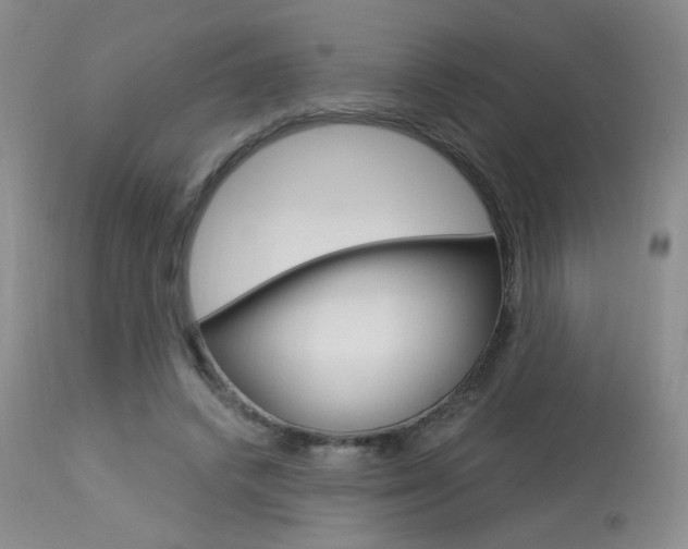 X0000114030448200910021044