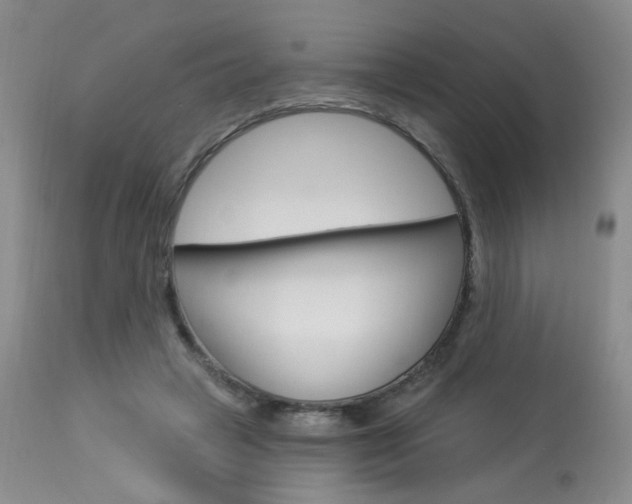 X0000114030449200910021044
