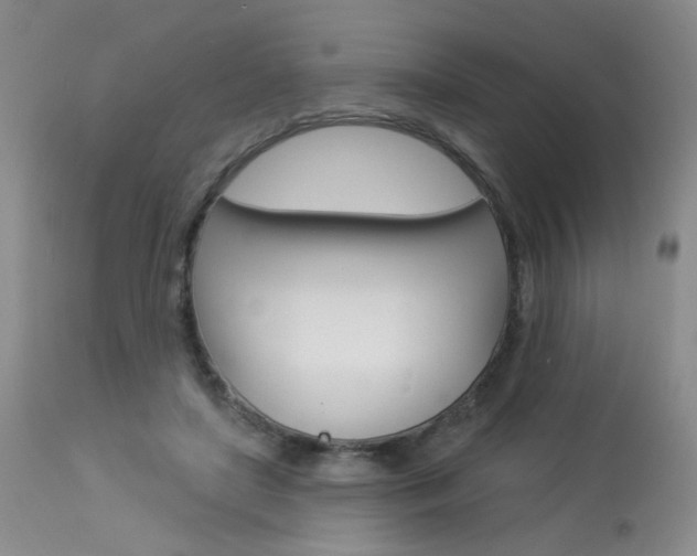 X0000114030451200910021044