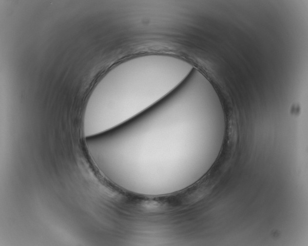 X0000114030453200910021044