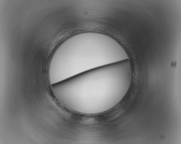 X0000114030454200910021044