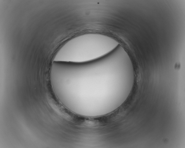 X0000114030455200910021045