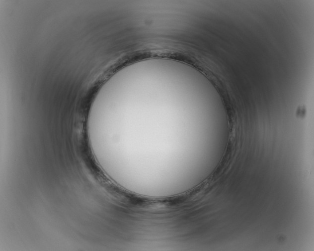X0000114030456200910021045