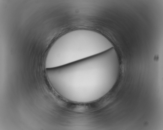 X0000114030458200910021045