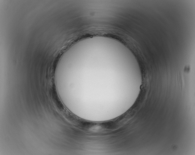 X0000114030460200910021045