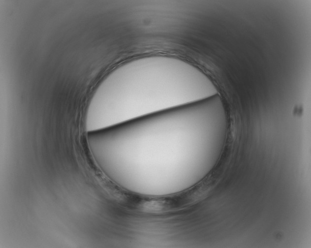 X0000114030461200910021045