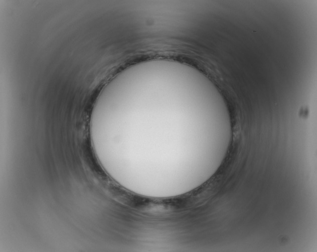X0000114030464200910021045