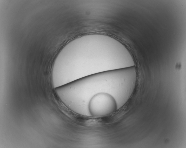 X0000114030465200910021045