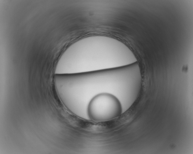 X0000114030466200910021045