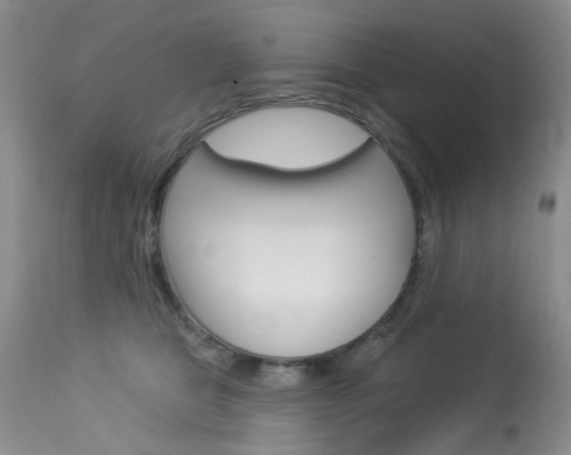 X0000114030469200910021045