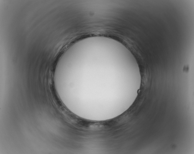 X0000114030470200910021045