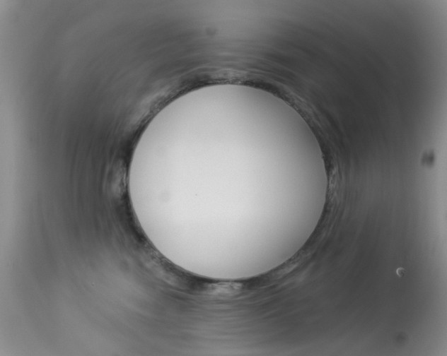 X0000114030474200910021045