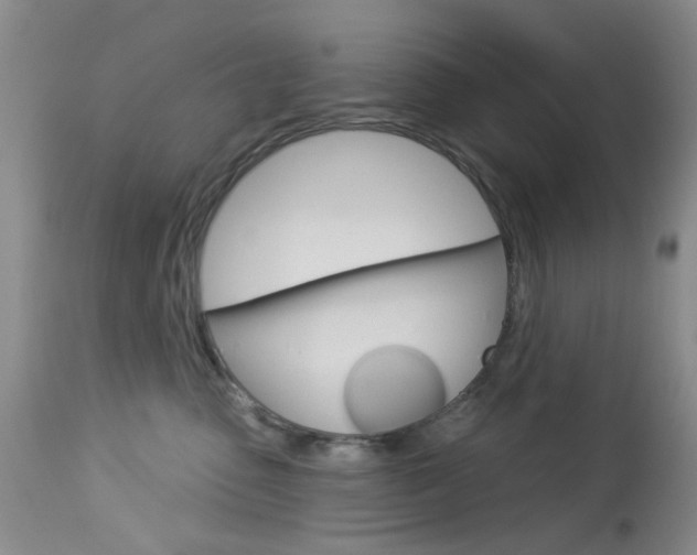 X0000114030475200910021045