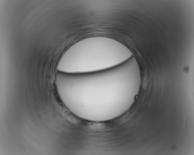X0000114030476200910021045