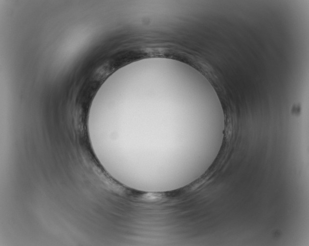 X0000114030477200910021045