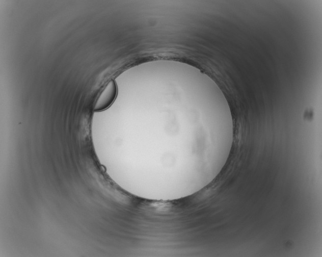 X0000114030478200910021045
