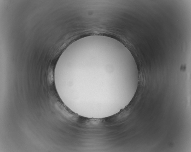 X0000114030479200910021045