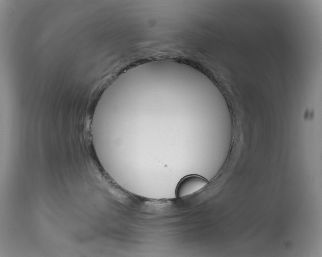 X0000114030480200910021045