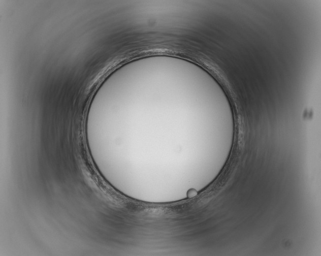 X0000114030482200910021044