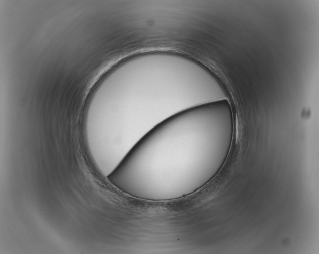 X0000114030483200910021044