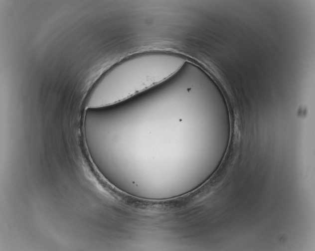 X0000114030485200910021044