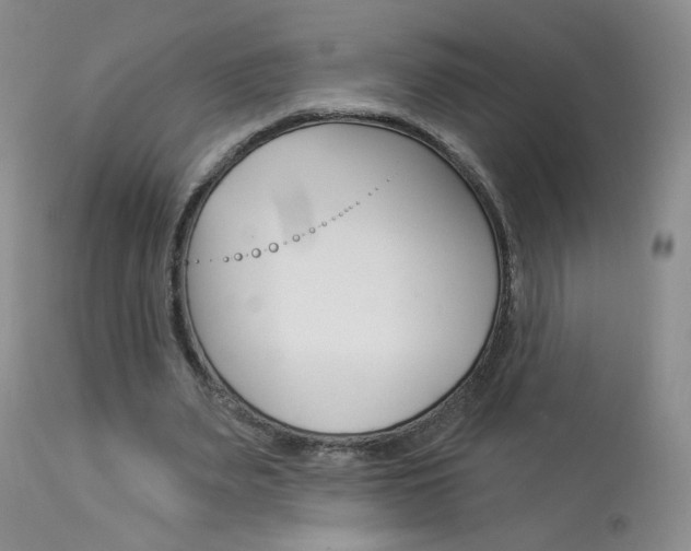 X0000114030487200910021044